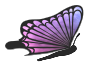 Flying purple butterfly (with/without PNG iCCP chunk)